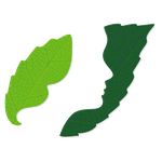 کلینیک تخصصی کاشت مو و ابرو رویش سبز